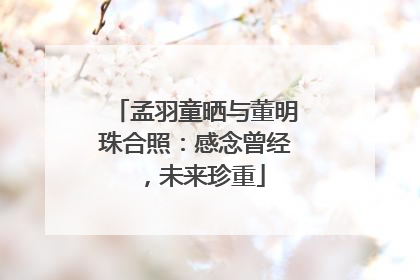 孟羽童晒与董明珠合照：感念曾经，未来珍重